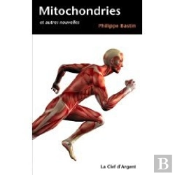 Bertrand.pt - Mitochondries