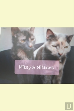 Bertrand.pt - Mitsy And Mittens