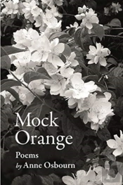 Mock Orange