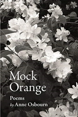 Bertrand.pt - Mock Orange