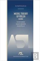 Model Theory Of Fields