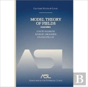 Model Theory Of Fields