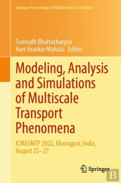 Bertrand.pt - Modeling, Analysis And Simulations Of Multiscale Transport Phenomena