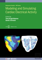 Modeling And Simulating Cardiac Electrical Activity