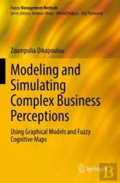 Modeling And Simulating Complex Business Perceptions