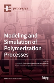 Modeling And Simulation Of Polymerization Processes