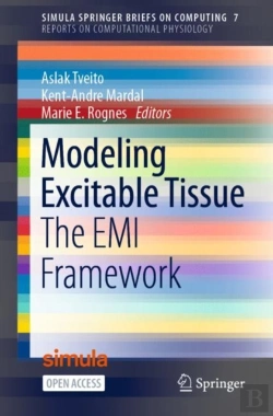 Bertrand.pt - Modeling Excitable Tissue