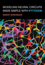 Modeling Neural Circuits Made Simple With Python