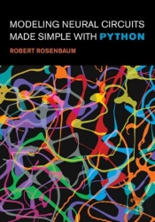 Modeling Neural Circuits Made Simple With Python