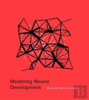 Modeling Neural Development