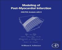 Modeling Of Post-Myocardial Infarction