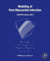 Modeling Of Post-Myocardial Infarction