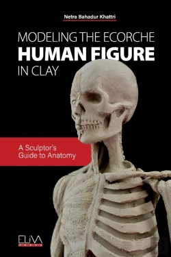 Bertrand.pt - Modeling The Ecorche Human Figure In Clay
