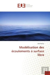 Modelisation Des Ecoulements A Surface Libre
