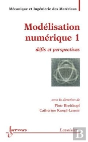 Modelisation Numerique 1 Defis Et Perspectives Traite Mim Serie Methodesnumeriques