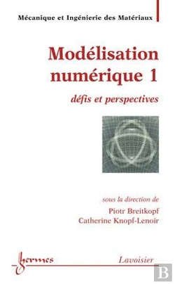 Bertrand.pt - Modelisation Numerique 1 Defis Et Perspectives Traite Mim Serie Methodesnumeriques
