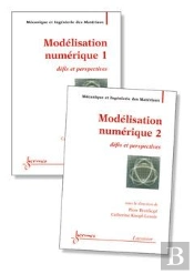 Modelisation Numerique Defis Et Perspectives Traite Mim Serie Methodesnumeriques