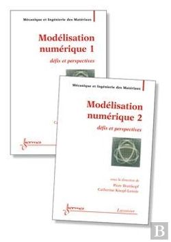 Bertrand.pt - Modelisation Numerique Defis Et Perspectives Traite Mim Serie Methodesnumeriques