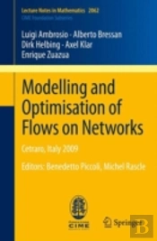 Modelling And Optimisation Of Flows On Networks