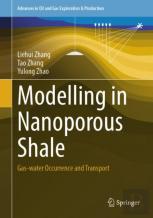 Modelling In Nanoporous Shale