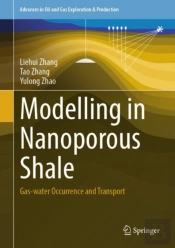 Modelling In Nanoporous Shale