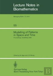 Modelling Of Patterns In Space And Time