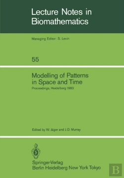 Bertrand.pt - Modelling Of Patterns In Space And Time