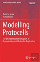 Modelling Protocells
