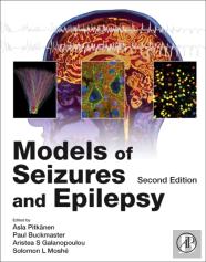 Models Of Seizures And Epilepsy