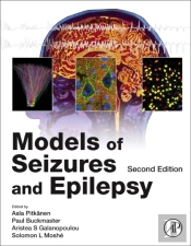 Models Of Seizures And Epilepsy