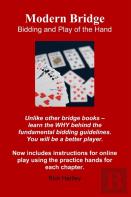 Modern Bridge