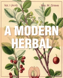 Bertrand.pt - Modern Herbal Vol 1