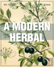 Modern Herbal Vol 2