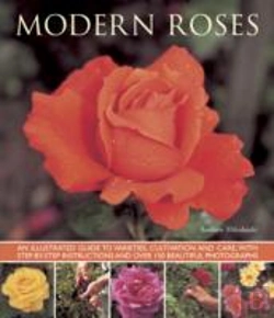 Bertrand.pt - Modern Roses