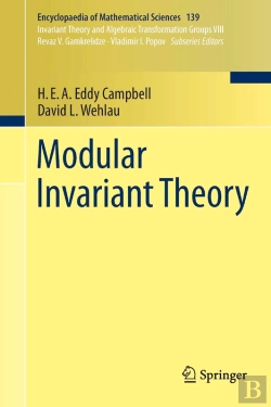 Bertrand.pt - Modular Invariant Theory