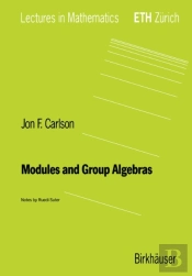 Modules And Group Algebras