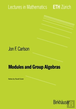 Bertrand.pt - Modules And Group Algebras