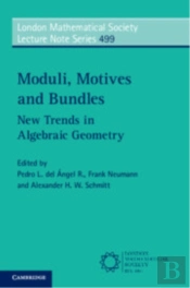 Moduli, Motives And Bundles