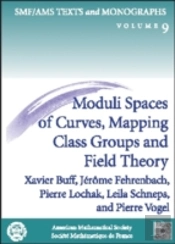 Moduli Spaces Of Curves, Mapping Class Groups And Field Theory
