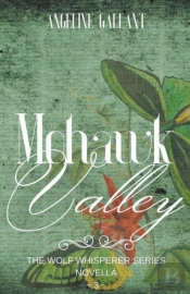 Mohawk Valley