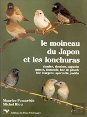 Moineau Du Japon Et Les Lonchuras