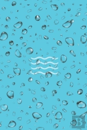 Moist