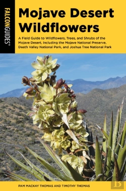 Bertrand.pt - Mojave Desert Wildflowers