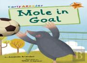 Mole In Goal