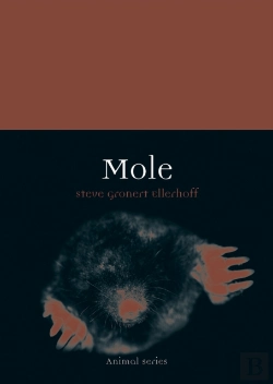 Bertrand.pt - Mole