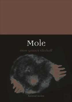 Bertrand.pt - Mole