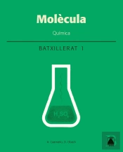 Molècula. Química 1 Batxillerat