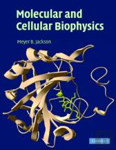 Molecular And Cellular Biophysics