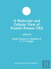 Molecular And Cellular View Of Protein Kinase Ck2