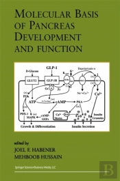 Molecular Basis Of Pancreas Development And Function
